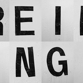 Reining by Shannon Ebner