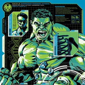 S.H.I.E.L.D. Files: Hulk by Anthony Petrie