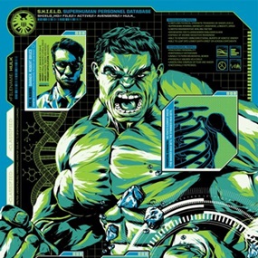 S.H.I.E.L.D. Files: Hulk by Anthony Petrie