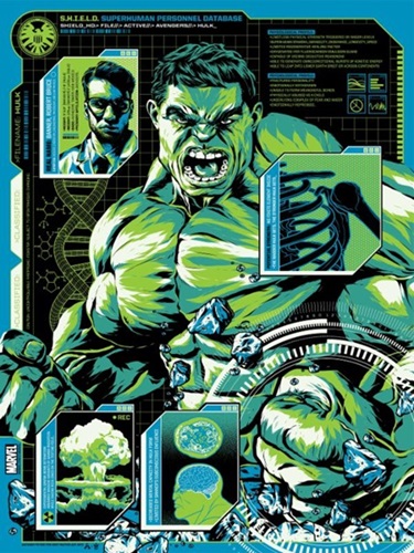 S.H.I.E.L.D. Files: Hulk  by Anthony Petrie