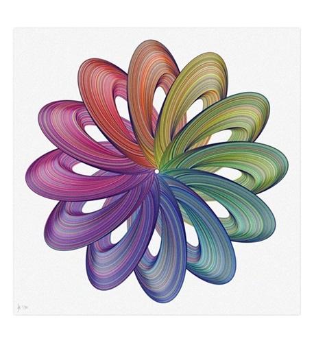 Springflower  by Anthony Sunter