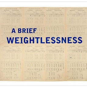 A Brief Weightlessness by William Kentridge