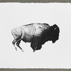 Then Your Prairies Will Be Covered In Speckled Cattle, #16 (After Eadweard Muybridge, 1883) by Joel Daniel Phillips