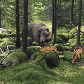 The Sleeping Woods by Josh Keyes