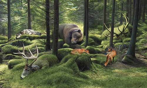 The Sleeping Woods  by Josh Keyes