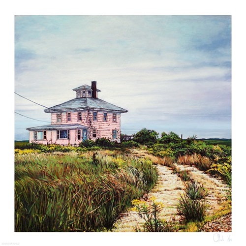 The Pink House  by Andrew Houle