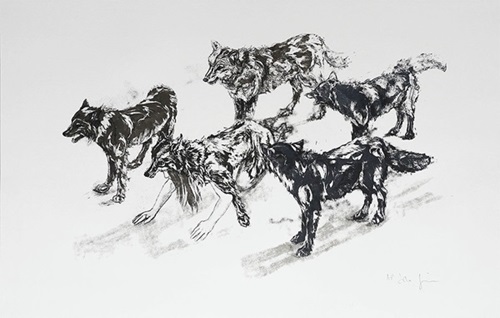 Wolf Pack  by John Simpson
