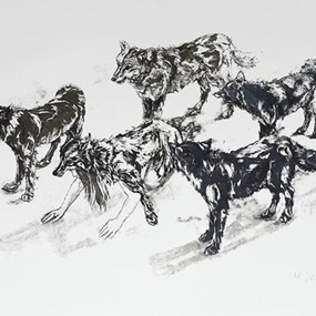 Wolf Pack by John Simpson