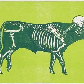 Toro III - Vegetariano (Green) by Sam3