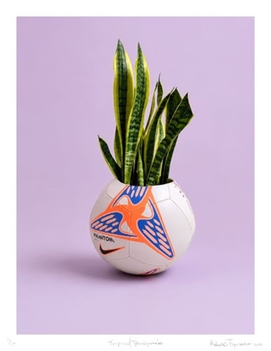 Tropical Readymade  by Radamés Figueroa