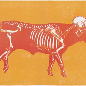 Toro III - Vegetariano (Orange) by Sam3