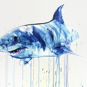 Apex Shark VIII by Dave White