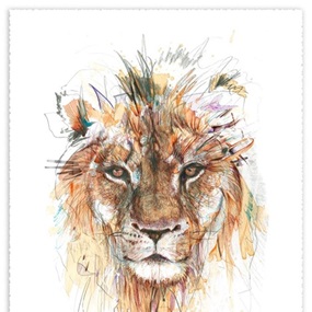 Stare Of A Lion by Carne Griffiths