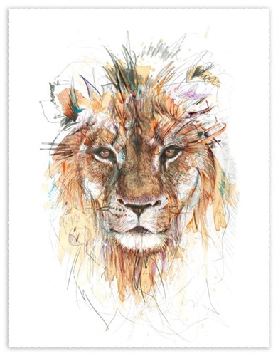 Stare Of A Lion  by Carne Griffiths