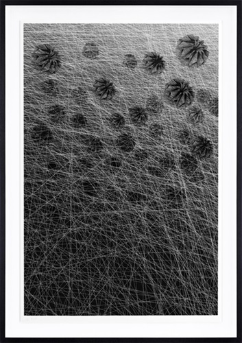 Caught By The Nest 3  by Kai & Sunny