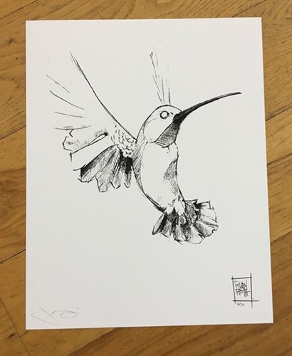 Hummingbird  by Jude Angelini