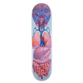 Skate Deck Anatomy (First Edition) by Jason Freeny