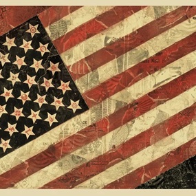 Flag 1 (Offset Lithograph) by Shepard Fairey