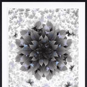 Just An Illusion 2 (XL) by Kai & Sunny