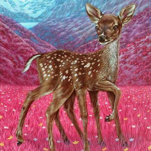 Spideer  by Casey Weldon