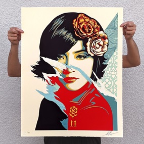 Open Minds (Destructive) by Shepard Fairey