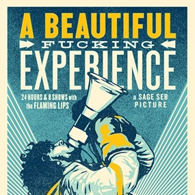 A Beautiful Fucking Experience by Shepard Fairey