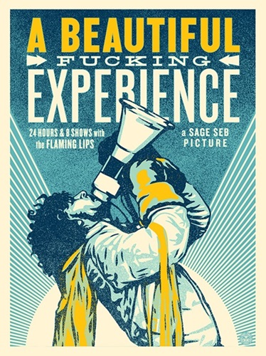 A Beautiful Fucking Experience  by Shepard Fairey