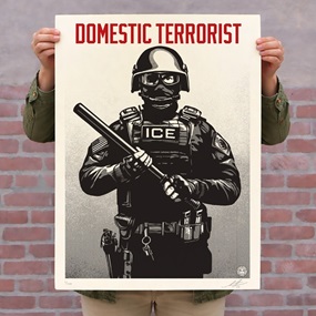 Projection MIrror: Domestic Terrorist by Shepard Fairey