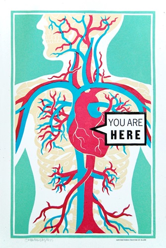 You Are Here  by Roll And Tumble Press