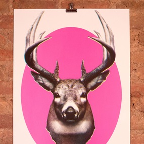 Stag (First Edition) by Aida Wilde