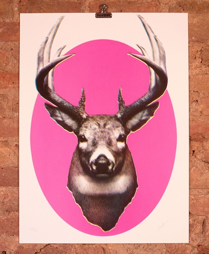 Stag (First Edition) by Aida Wilde