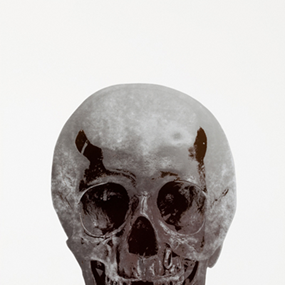 The Dead (Silver Gloss Gunmetal Skull) by Damien Hirst