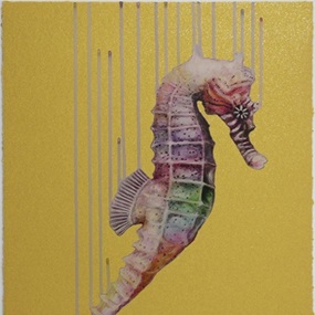 Rainbow Is My Favourite Colour (Timed Edition) by Louise McNaught