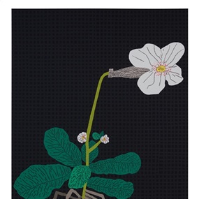 White Flower With Grid by Jonas Wood
