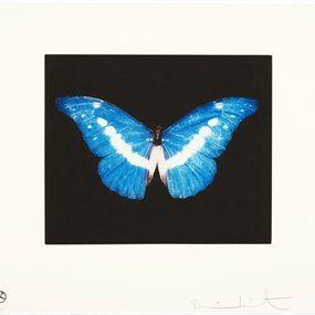 To Begin by Damien Hirst