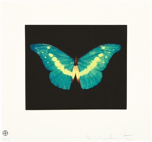 To Believe  by Damien Hirst