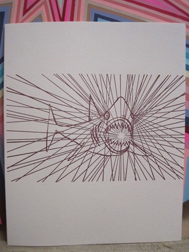 Shark Letterpress  by Kelsey Brookes