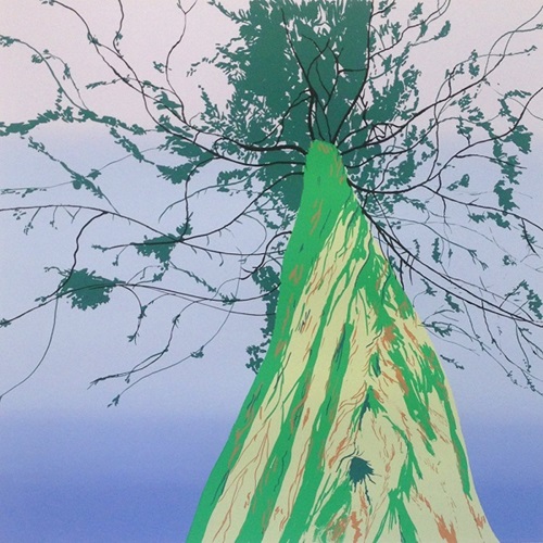 Canopy Memories  by Jonathan Purday