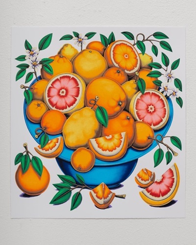 Bowls with Citrus, Flowers and Sliced Tomatoes 1  by Pedro Pedro