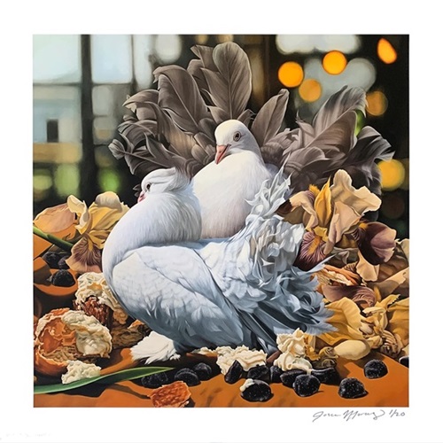 Fancy Pigeons with Cream Puffs, Irises, and Melatonin; Still Wondering: Whether You Dream at All?  by Josie Morway