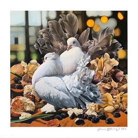Fancy Pigeons with Cream Puffs, Irises, and Melatonin; Still Wondering: Whether You Dream at All? by Josie Morway