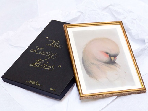 Lady Bird  by Miss Van