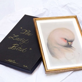 Lady Bird by Miss Van