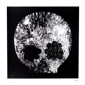 Explosion (Black & White) by Matt Goldman