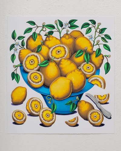 Bowls with Citrus, Flowers and Sliced Tomatoes 3  by Pedro Pedro