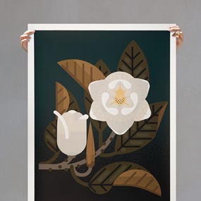 Magnolia by Amok Island