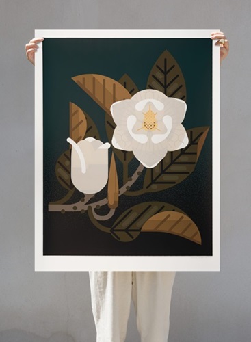 Magnolia  by Amok Island