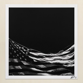 Untitled (Falling Flag) (Timed Editon) by Robert Longo