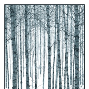 The Winter by Dan McCarthy
