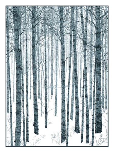 The Winter  by Dan McCarthy